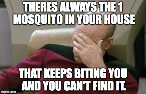 Captain Picard Facepalm | THERES ALWAYS THE 1 MOSQUITO IN YOUR HOUSE THAT KEEPS BITING YOU AND YOU CAN'T FIND IT. | image tagged in memes,captain picard facepalm | made w/ Imgflip meme maker