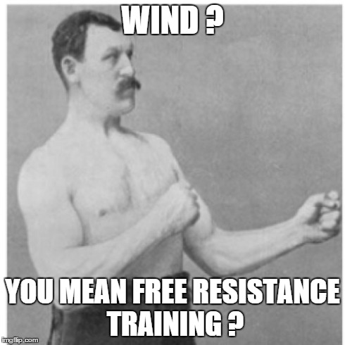 Overly Manly Man Meme | WIND ? YOU MEAN FREE RESISTANCE TRAINING ? | image tagged in memes,overly manly man | made w/ Imgflip meme maker