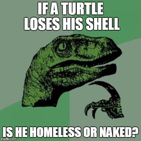 Philosoraptor | IF A TURTLE LOSES HIS SHELL IS HE HOMELESS OR NAKED? | image tagged in memes,philosoraptor | made w/ Imgflip meme maker