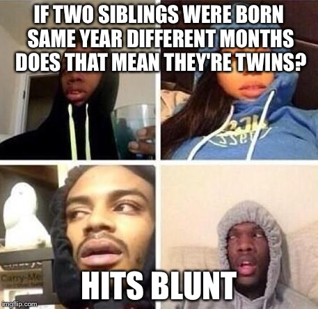 *Hits blunt | IF TWO SIBLINGS WERE BORN SAME YEAR DIFFERENT MONTHS DOES THAT MEAN THEY'RE TWINS? HITS BLUNT | image tagged in hits blunt | made w/ Imgflip meme maker