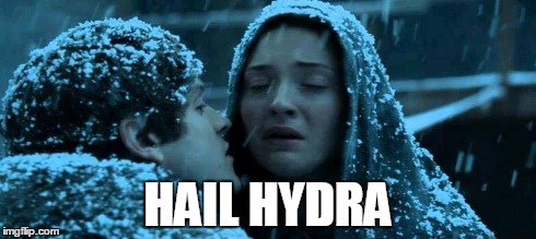 got hydra | HAIL HYDRA | image tagged in hail hydra,game of thrones | made w/ Imgflip meme maker
