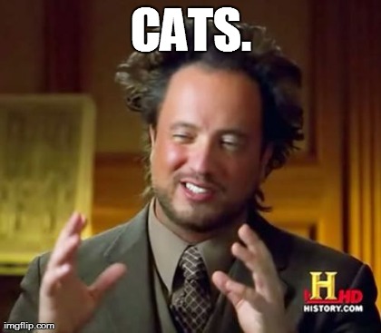 CATS. | image tagged in memes,ancient aliens | made w/ Imgflip meme maker