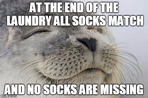 Satisfied Seal | AT THE END OF THE LAUNDRY ALL SOCKS MATCH AND NO SOCKS ARE MISSING | image tagged in memes,satisfied seal,AdviceAnimals | made w/ Imgflip meme maker