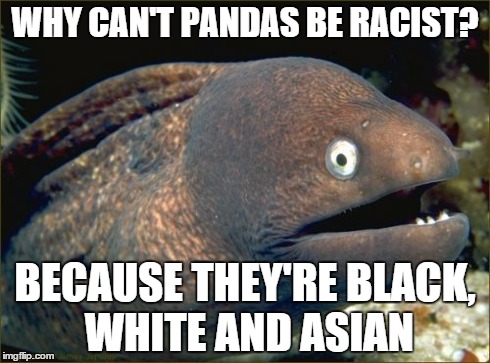 Bad Joke Eel | WHY CAN'T PANDAS BE RACIST? BECAUSE THEY'RE BLACK, WHITE AND ASIAN | image tagged in memes,bad joke eel | made w/ Imgflip meme maker
