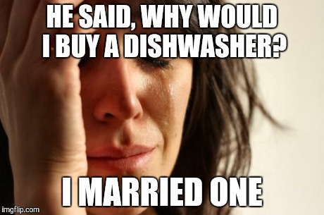 First Marriage Problems | HE SAID, WHY WOULD I BUY A DISHWASHER? I MARRIED ONE | image tagged in memes,first world problems | made w/ Imgflip meme maker