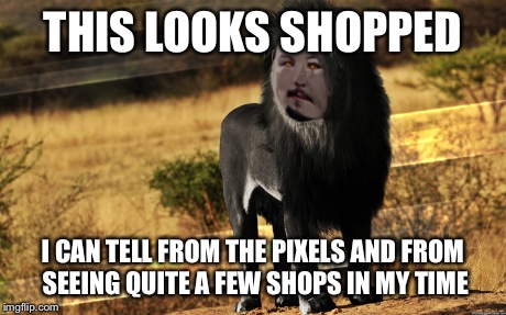 THIS LOOKS SHOPPED I CAN TELL FROM THE PIXELS AND FROM SEEING QUITE A FEW SHOPS IN MY TIME | made w/ Imgflip meme maker