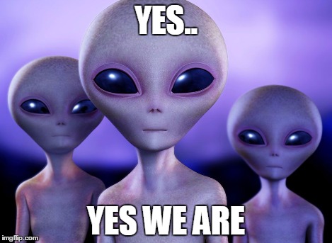 Aliens rang | YES.. YES WE ARE | image tagged in aliens rang | made w/ Imgflip meme maker