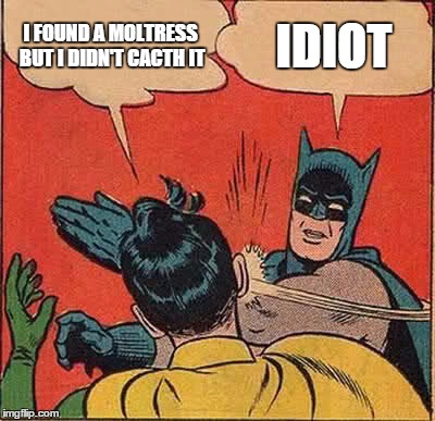 Batman Slapping Robin | I FOUND A MOLTRESS BUT I DIDN'T CACTH IT IDIOT | image tagged in memes,batman slapping robin | made w/ Imgflip meme maker
