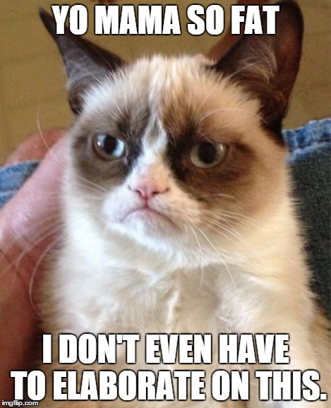 Grumpy Cat | YO MAMA SO FAT I DON'T EVEN HAVE TO ELABORATE ON THIS. | image tagged in memes,grumpy cat | made w/ Imgflip meme maker