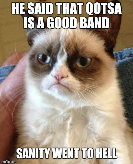 Grumpy Cat | HE SAID THAT QOTSA IS A GOOD BAND SANITY WENT TO HELL | image tagged in memes,grumpy cat | made w/ Imgflip meme maker