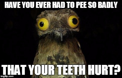 Or should I visit a doctor? | HAVE YOU EVER HAD TO PEE SO BADLY THAT YOUR TEETH HURT? | image tagged in memes,weird stuff i do potoo | made w/ Imgflip meme maker