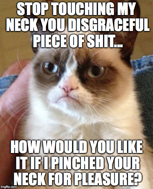 Grumpy Cat Meme | STOP TOUCHING MY NECK YOU DISGRACEFUL PIECE OF SHIT... HOW WOULD YOU LIKE IT IF I PINCHED YOUR NECK FOR PLEASURE? | image tagged in memes,grumpy cat | made w/ Imgflip meme maker