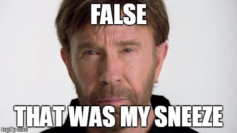 Chuck Norris | FALSE THAT WAS MY SNEEZE | image tagged in chuck norris | made w/ Imgflip meme maker