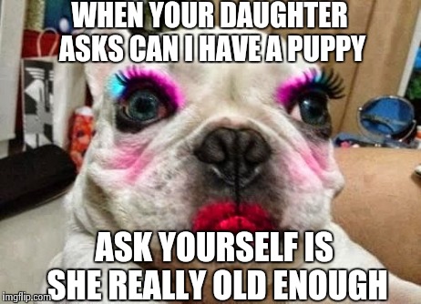 Pretty Puppy | WHEN YOUR DAUGHTER ASKS CAN I HAVE A PUPPY ASK YOURSELF IS SHE REALLY OLD ENOUGH | image tagged in memes,pretty puppy,ask yourself | made w/ Imgflip meme maker