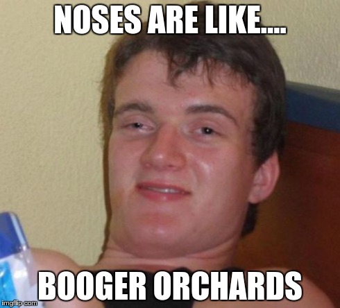 10 Guy | NOSES ARE LIKE.... BOOGER ORCHARDS | image tagged in memes,10 guy | made w/ Imgflip meme maker