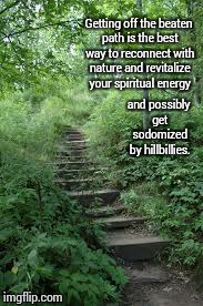The Road Less Travelled | Getting off the beaten path is the best way to reconnect with nature and revitalize your spiritual energy and possibly get sodomized by hill | image tagged in inspiration | made w/ Imgflip meme maker