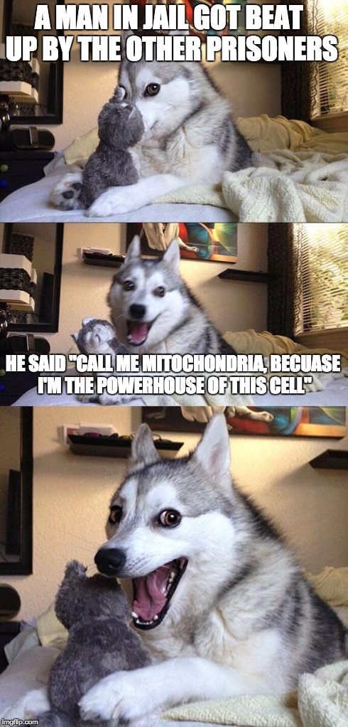 Please tell me you get this XD | A MAN IN JAIL GOT BEAT UP BY THE OTHER PRISONERS HE SAID "CALL ME MITOCHONDRIA, BECUASE I'M THE POWERHOUSE OF THIS CELL" | image tagged in memes,bad pun dog,mitochondria,cell,jail | made w/ Imgflip meme maker