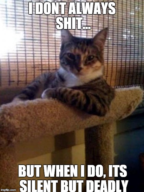 The Most Interesting Cat In The World | I DONT ALWAYS SHIT... BUT WHEN I DO, ITS SILENT BUT DEADLY | image tagged in memes,the most interesting cat in the world | made w/ Imgflip meme maker