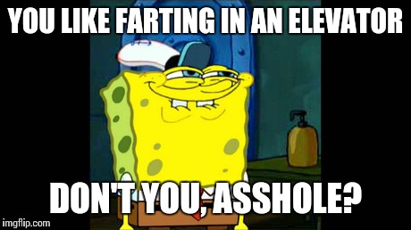 YOU LIKE FARTING IN AN ELEVATOR DON'T YOU, ASSHOLE? | image tagged in you like don't you,dont you squidward | made w/ Imgflip meme maker