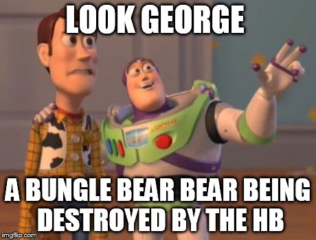 X, X Everywhere Meme | LOOK GEORGE A BUNGLE BEAR BEAR BEING DESTROYED BY THE HB | image tagged in memes,x x everywhere | made w/ Imgflip meme maker