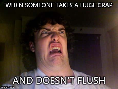 Oh No Meme | WHEN SOMEONE TAKES A HUGE CRAP AND DOESN'T FLUSH | image tagged in memes,oh no | made w/ Imgflip meme maker