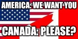 America VS Canada | AMERICA: WE WANT YOU CANADA: PLEASE? | image tagged in america vs canada | made w/ Imgflip meme maker