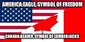 America VS Canada | AMERICA:EAGLE, SYMBOL OF FREEDOM CANADA:BEAVER, SYMBOL OF LUMBERJACKS | image tagged in america vs canada | made w/ Imgflip meme maker