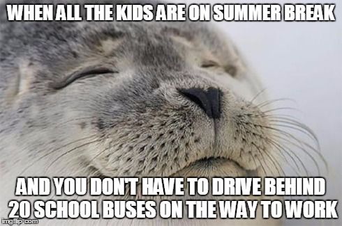 Satisfied Seal | WHEN ALL THE KIDS ARE ON SUMMER BREAK AND YOU DON'T HAVE TO DRIVE BEHIND 20 SCHOOL BUSES ON THE WAY TO WORK | image tagged in memes,satisfied seal,AdviceAnimals | made w/ Imgflip meme maker