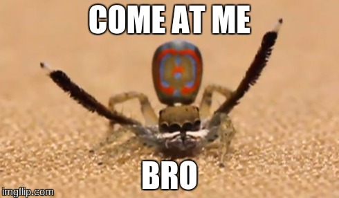 COME AT ME BRO | image tagged in come at me bro | made w/ Imgflip meme maker