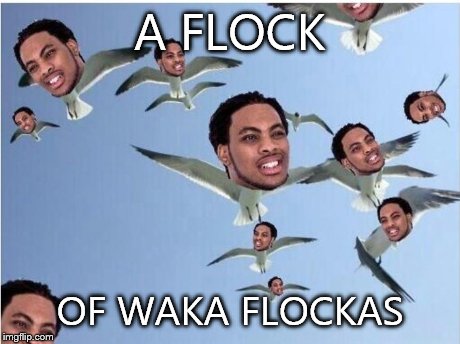 A FLOCK OF WAKA FLOCKAS | image tagged in meme | made w/ Imgflip meme maker