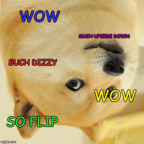 Doge | WOW MUCH UPSIDE DOWN WOW SO FLIP SUCH DIZZY | image tagged in memes,doge | made w/ Imgflip meme maker