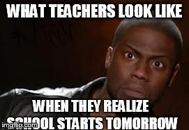 Kevin Hart Meme | WHAT TEACHERS LOOK LIKE WHEN THEY REALIZE SCHOOL STARTS TOMORROW | image tagged in memes,kevin hart the hell | made w/ Imgflip meme maker