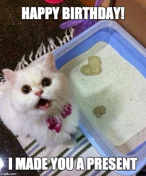 HAPPY BIRTHDAY! I MADE YOU A PRESENT | image tagged in birthday kitty | made w/ Imgflip meme maker