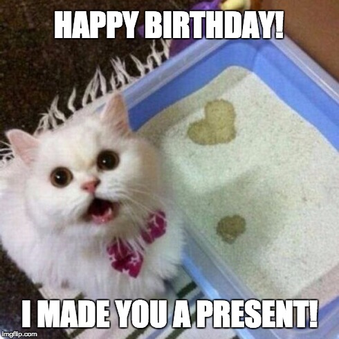 HAPPY BIRTHDAY! I MADE YOU A PRESENT! | HAPPY BIRTHDAY! I MADE YOU A PRESENT! | image tagged in cat,kitten,love,birthday,poo,poop | made w/ Imgflip meme maker