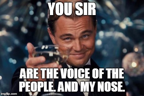 Leonardo Dicaprio Cheers Meme | YOU SIR ARE THE VOICE OF THE PEOPLE. AND MY NOSE. | image tagged in memes,leonardo dicaprio cheers | made w/ Imgflip meme maker
