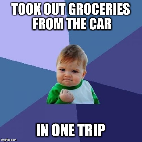 Success Kid | TOOK OUT GROCERIES FROM THE CAR IN ONE TRIP | image tagged in memes,success kid | made w/ Imgflip meme maker