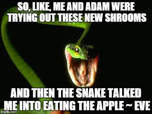 what really happened | SO, LIKE, ME AND ADAM WERE TRYING OUT THESE NEW SHROOMS AND THEN THE SNAKE TALKED ME INTO EATING THE APPLE ~ EVE | image tagged in happy snake | made w/ Imgflip meme maker