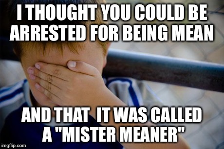 Confession Kid Meme | I THOUGHT YOU COULD BE ARRESTED FOR BEING MEAN AND THAT  IT WAS CALLED A "MISTER MEANER" | image tagged in memes,confession kid,AdviceAnimals | made w/ Imgflip meme maker
