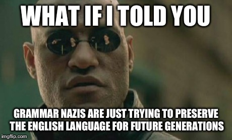 Matrix Morpheus Meme | WHAT IF I TOLD YOU GRAMMAR NAZIS ARE JUST TRYING TO PRESERVE THE ENGLISH LANGUAGE FOR FUTURE GENERATIONS | image tagged in memes,matrix morpheus | made w/ Imgflip meme maker
