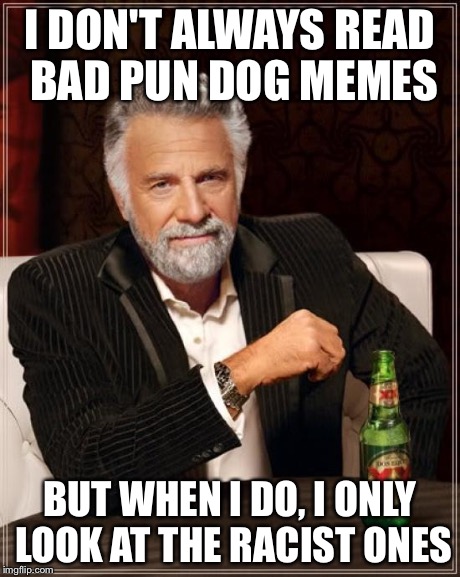 The Most Interesting Man In The World Meme | I DON'T ALWAYS READ BAD PUN DOG MEMES BUT WHEN I DO, I ONLY LOOK AT THE RACIST ONES | image tagged in memes,the most interesting man in the world | made w/ Imgflip meme maker
