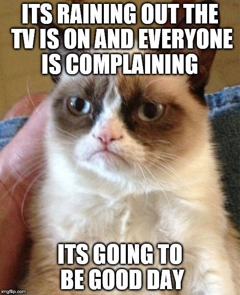 a good day | ITS RAINING OUT THE TV IS ON AND EVERYONE IS COMPLAINING ITS GOING TO BE GOOD DAY | image tagged in memes,grumpy cat,rain,lightning | made w/ Imgflip meme maker