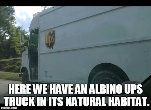Albino UPS Truck | HERE WE HAVE AN ALBINO UPS TRUCK IN ITS NATURAL HABITAT. | image tagged in memes,truck,naturally | made w/ Imgflip meme maker