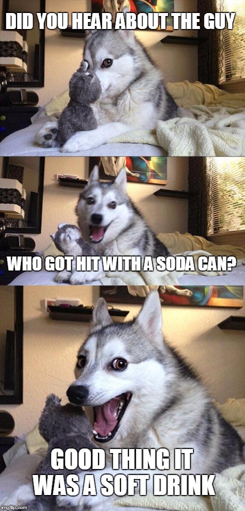 Bad Pun Dog Meme | DID YOU HEAR ABOUT THE GUY WHO GOT HIT WITH A SODA CAN? GOOD THING IT WAS A SOFT DRINK | image tagged in memes,bad pun dog | made w/ Imgflip meme maker