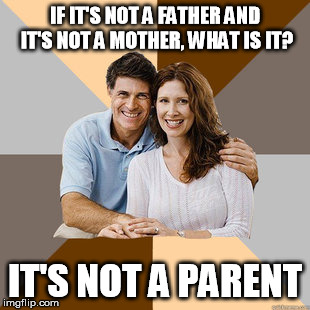 Puny Parents | IF IT'S NOT A FATHER AND IT'S NOT A MOTHER, WHAT IS IT? IT'S NOT A PARENT | image tagged in parents,puns,pun | made w/ Imgflip meme maker