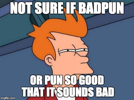 Futurama Fry Meme | NOT SURE IF BADPUN OR PUN SO GOOD THAT IT SOUNDS BAD | image tagged in memes,futurama fry | made w/ Imgflip meme maker