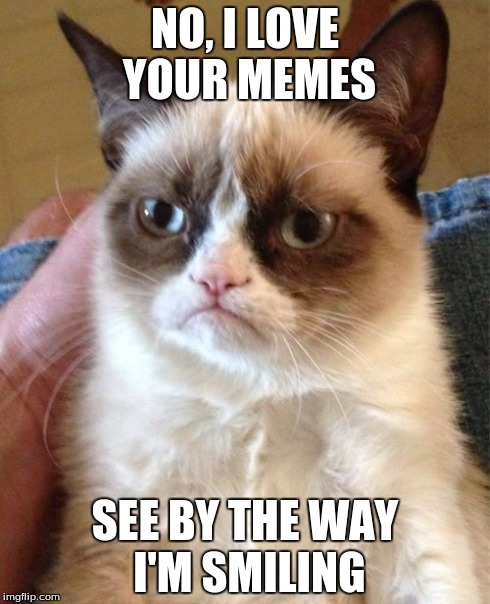 Grumpy Cat | NO, I LOVE YOUR MEMES SEE BY THE WAY I'M SMILING | image tagged in memes,grumpy cat | made w/ Imgflip meme maker