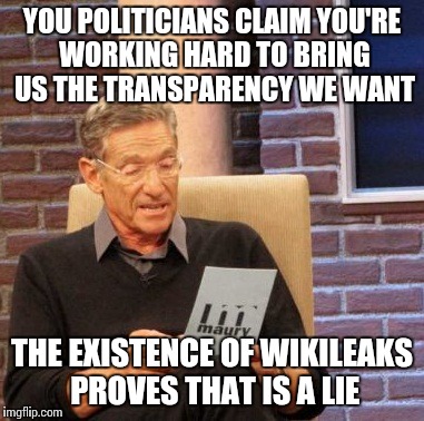 Maury Lie Detector Meme | YOU POLITICIANS CLAIM YOU'RE WORKING HARD TO BRING US THE TRANSPARENCY WE WANT THE EXISTENCE OF WIKILEAKS PROVES THAT IS A LIE | image tagged in memes,maury lie detector | made w/ Imgflip meme maker