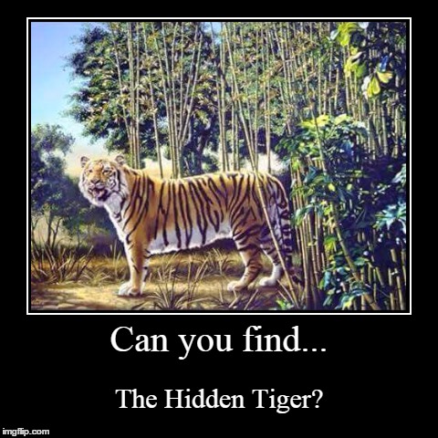 The Hidden Tiger. | image tagged in funny,demotivationals,puzzle | made w/ Imgflip demotivational maker