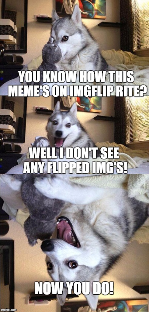 Very punny! | YOU KNOW HOW THIS MEME'S ON IMGFLIP RITE? WELL I DON'T SEE ANY FLIPPED IMG'S! NOW YOU DO! | image tagged in memes,bad pun dog,imgflip | made w/ Imgflip meme maker