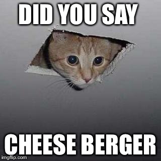 Ceiling Cat Meme | DID YOU SAY CHEESE BERGER | image tagged in ceiling cat | made w/ Imgflip meme maker